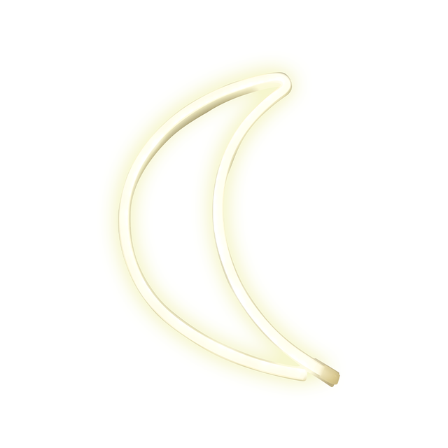Neon_Moon__06123.1636587948.png